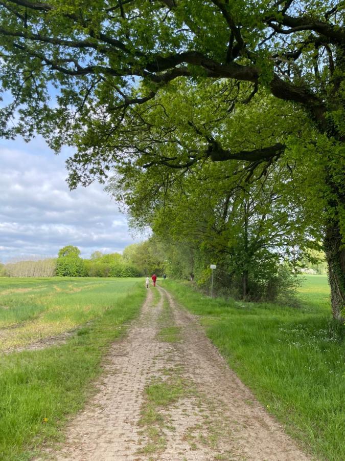 Luxus Lindenhof Apartments -Ferienwohnungen In Friesland An Der Nordsee Am Naturschutzgebiet Urwald Neuenburg  Luaran gambar